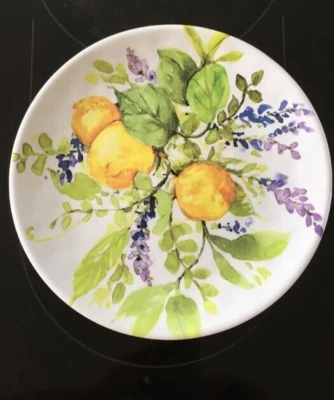 1 - Plato de postre ensalada Susan Winget ralladura de limón Melemine 9" certificado internacional Foto 1 de 2