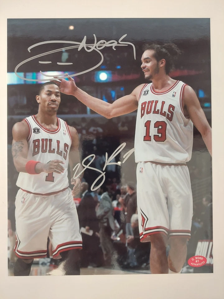 Letrero Derrick Rose & Joakim Noah Chicago Bulls 8x10 foto certificado Holograma D. Rose Foto 1 de 1