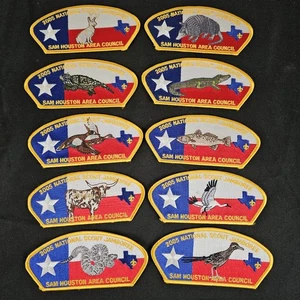 Juego de 10 National Scout Jamboree 2005 JSP Sam Houston Area Council Texas BSA - Imagen 1 de 13