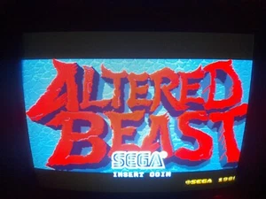 Altered Beast JAMMA ARCADE PCB GAME - Bild 1 von 11