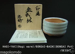 o3691-o3695, Artículos HAGI Blancos, DEISHI, Pedido Especial MINI-BONSAI-POT. - Imagen 1 de 10
