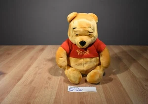 Disneyland Resort Pooh Plush(310-966) - Bild 1 von 6