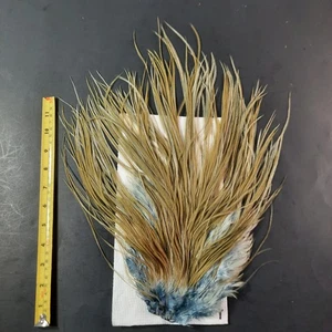 Dyed Lt. Dun Ginger Saddle Hackle LONG THIN Dry FLY TYING FEATHERS #4 - Picture 1 of 7
