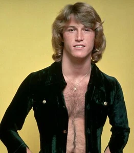 Andy Gibb 8x10 Glossy Photo - Picture 1 of 1