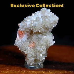 Apofilita natural con racimo curativo de mordedura muerdedora 6 g | Mini zeolita de 3x2 cm  - Imagen 1 de 6