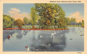 Wildfowl Lake Mohawk Park descansando patos escena Tulsa, bien postal de colección años 30 - Imagen 1 de 2