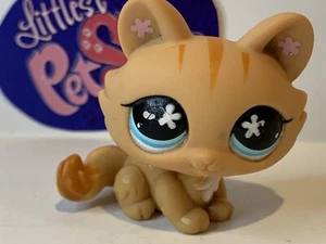 KITTEN CAT #649 - Authentic Littlest Pet Shop - Hasbro LPS - Picture 1 of 4