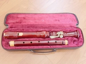 YAMAHA YRT-43 Tenor Recorder with Case - Picture 1 of 8