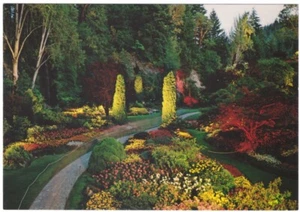 Sunken Garden Illuminated Butchart Gardens Victoria British Columbia Postcard #1 - Picture 1 of 2