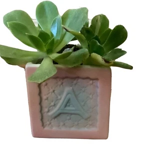 Kinderzimmer Übertopf eckig Deko Pflanztopf Vintage Keramik Teddybär rosa blau - Bild 1 von 5