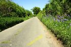 Photo 6X4 Jordan Lane, On The Course Of A Roman Road Beckside/Sd6188 Spr C2013