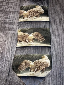 Accesorio de corbata 100 % cuello de seda para águila calva especies en peligro de extinción habitantes de acantilados - Imagen 1 de 6