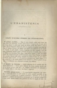 L'Ebanisteria -Sonzogno Estratto da Le Arti e i Mestieri Illustrati 1885 Bitard - Picture 1 of 4