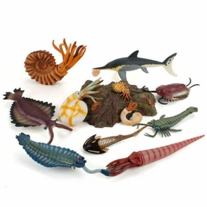 Multi-Style Marine Animal Toys Children's Gift Orthoceras Animal Model Hot New - Picture 1 of 25