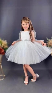Girls Princess Party Dress - Picture 1 of 3