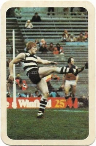 1982 Ardmona Big League Series 2 Geelong - ROBERT NEALE - Picture 1 of 1