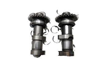 BMW G 310 GS 2017 2020 Alberi a camme originale 11756 KM - Picture 1 of 15