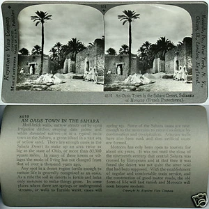 Keystone Stereoview Oasis Town, Sahara Desert, Morocco of 600/1200 Card Set #511 - Picture 1 of 2