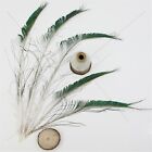 30-40cm Quality Peacock-Sword Feather Wedding Millinery Craft Hat Costume 20 pcs