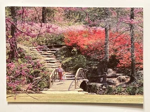 Tulsa Oklahoma Azalea Garden in Woodward Park Photo Postcard S-009 CP10951 - Picture 1 of 2