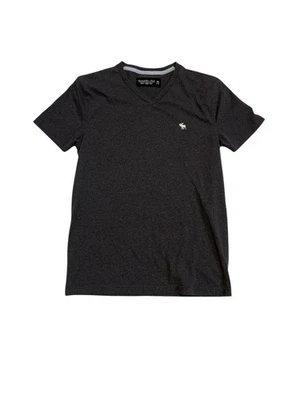 Abercrombie & Fitch Y2K Mens Heather Gray V-Neck Soft AF Muscle Moose Logo XS - Image 1 of 4