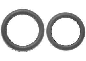 Fuel Injection Fuel Rail O-Ring Kit-VIN: M, Eng Code: L82 217-461
