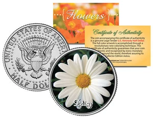 DAISY FLOWER JFK Kennedy Half Dollar US Colorized Coin - Picture 1 of 1