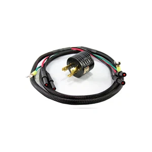 Cable paralelo Honda 08E92-HPK2031 para EU2000 Companion - Imagen 1 de 1