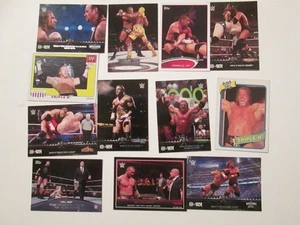 Triple H lot of 12 Different WWE - Picture 1 of 1