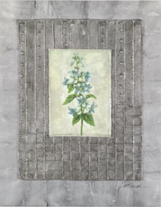 Campanula Variete Bleue II Merri Pattian 22x28 - Imagen 1 de 1