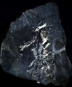 LOSA DE PLATA NATIVA DE 183 GRAMOS EN DIABASE, 6 X 3 X 6 CM COBALTO, ONTARIO, CANADÁ #17 - Imagen 1 de 1