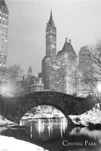NEW YORK POSTER - CENTRAL PARK - HOT NEW RARE 24X36 - Picture 1 of 1