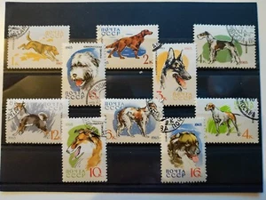 1965 Soviet Union Stamps(Dogs),CTO,NH,OG - Picture 1 of 1
