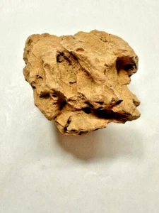 Natural ADA Dragon Stone Ohko for Aquascaping Aquarium Rocks Planted Tank  LOT 1 - Picture 1 of 10