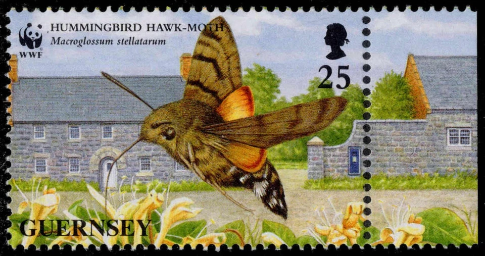 GUERNSEY 587 (SG731) - Hummingbird Hawk Moth "Macroglossum stellatarum" (pc34456 - Image 1 of 1