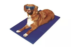 Stuoia Raffreddonneto Cuscino Coperta Termica per Cane E Gatto 40x50cm - Bild 1 von 1