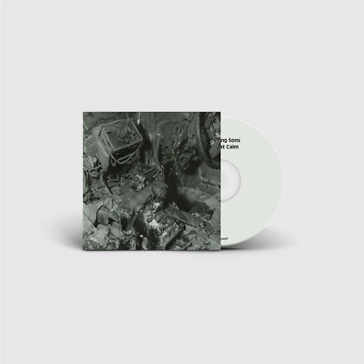 WHISPERING SONS The Great Calm CD Digipack 2024 - Bild 1 von 2