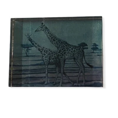 "Pisapapeles jirafa de vidrio transparente vintage sabana pastizal africano 4"" X 3""" Foto 1 de 4