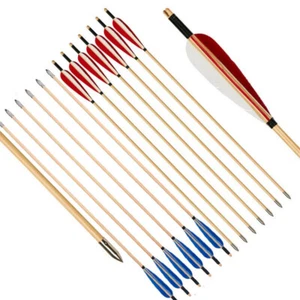 31" Wooden Hunting Arrows Nature Turkey Feather OD 8mm for Archery Bow Shooting - Picture 1 of 22