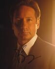 DAVID DUCHOVNY signed Autogramm 20x25cm THE X FILES in Person autograph ACOA