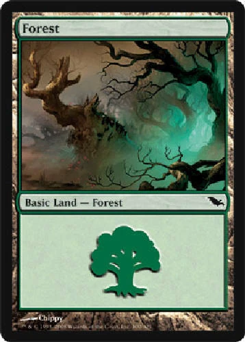 FOREST #300 Shadowmoor MTG Magic the Gathering Cards DJMagic - Image 1 of 1