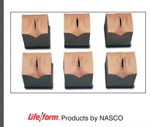 Cervical Dilation/Effacements Simulators LF01069U - Picture 1 of 1