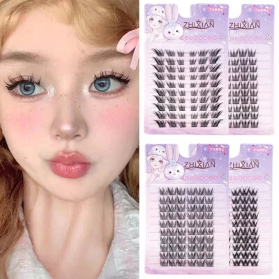 Extensión de pestañas postizas segmentadas largas gruesas belleza natural reutilizable ✲ Foto 1 de 4