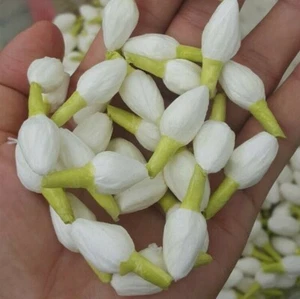 6000 x Thai Jasmine Tissue Paper Flower Handcrafts Artificial Home Arts Craft - Picture 1 of 11