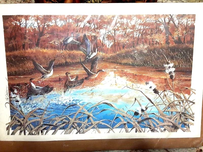 Jim Simpson Lithographic Unframed "Ducks", Signed, Numbered 27/200, Certificate - Image 1 of 4
