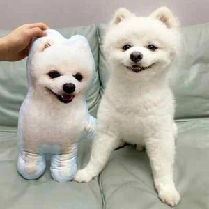 Personalized Pet Shaped Pillow, 3D Photo Pillow, Dog Pillow, Pet Gift, Dog Gift - Picture 1 of 9