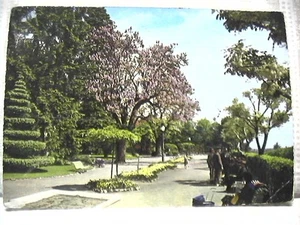 CUNEO GIARDINI PUBBLICI POSTCARD PANORAMA PIEMONTE vecchia cartolina foto veduta - Picture 1 of 1