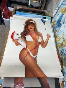 #355 Vintage Poster 39x26.5 1990 Sexy Brunette Nurse Karen Working Girls Langen - Picture 1 of 7