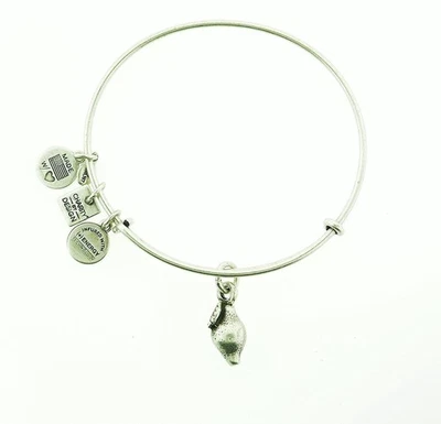 Alex Und Ani Zest For Life Armreif Rafaelian Silber NWTBC - Bild 1 von 4