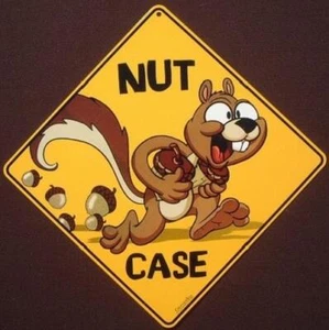 EICHHÖRNCHEN NUSS ETUI Schild 16 1/2 mal 16 1/2 NEU Deko Eichhörnchen Wildtiere Tiere - Bild 1 von 1